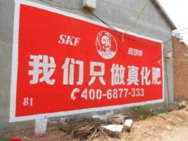 郸城刷墙广告”蕴含了时代命题