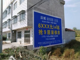 郸城墙体广告质量分析