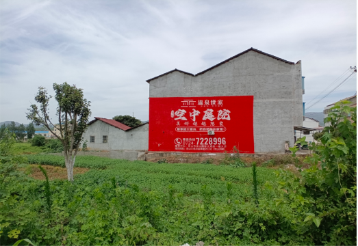 郸城做墙体广告的意义
