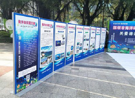 郸城KT板的种类和知识。